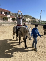 Ιπποθεραπεία- Εκπαιδευόμενος σε Άλογο με τα Χέρια Ψηλά